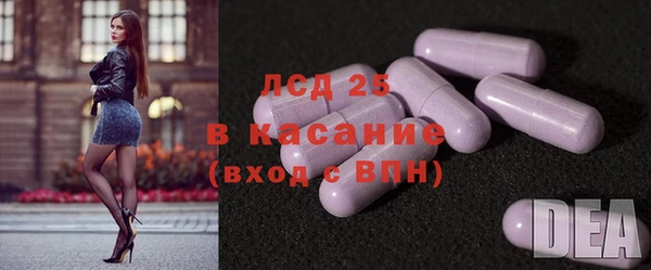 гидра Няндома
