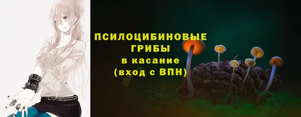ECSTASY Нязепетровск