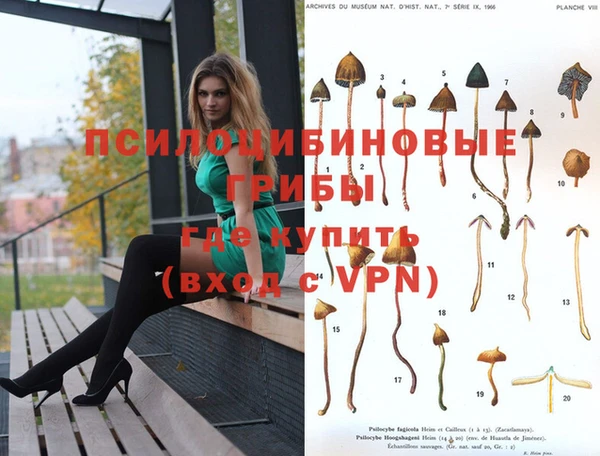 меф Абинск