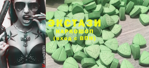 гидра Няндома