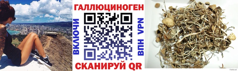 Галлюциногенные грибы мицелий  что такое наркотик  Рассказово 