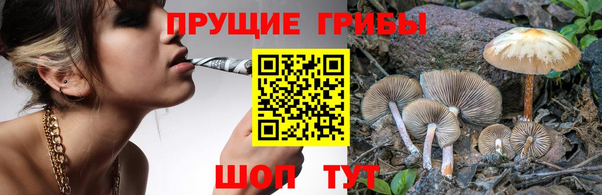 Галлюциногенные грибы мицелий Рассказово