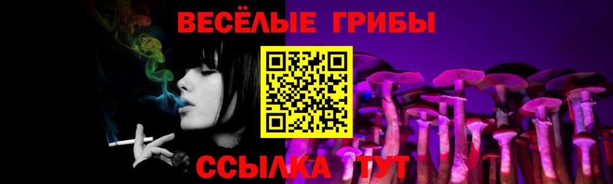 Рассказово  Галлюциногенные грибы Cubensis  Галлюциногенные грибы MAGIC MUSHROOMS  Вход с VPN 