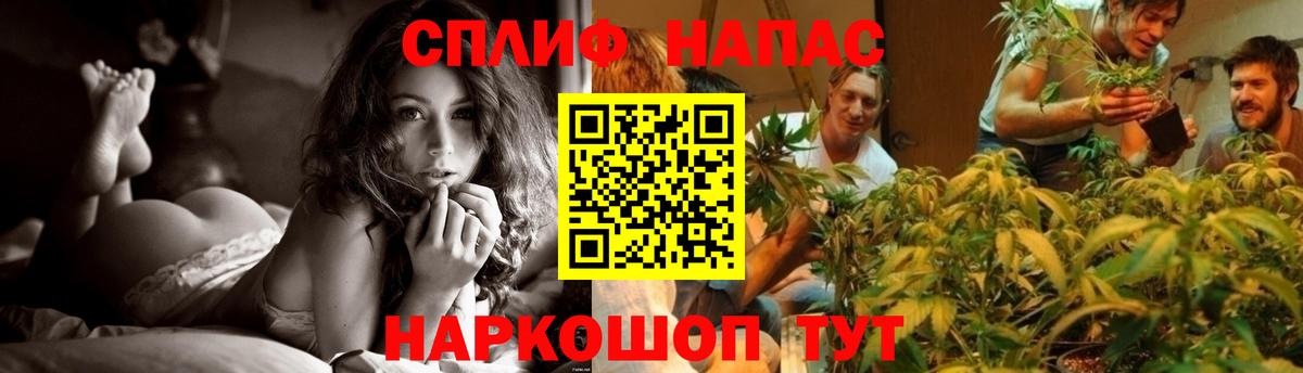 Каннабис White Widow Рассказово
